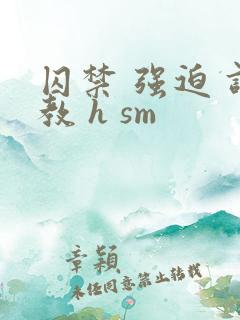囚禁 强迫 调教 h sm