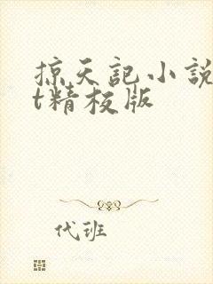 掠天记小说txt精校版