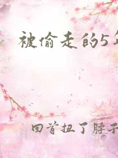 被偷走的5年