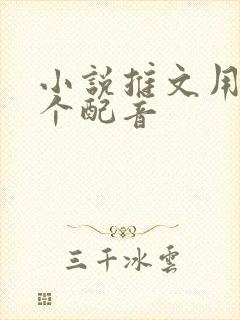 小说推文用的哪个配音