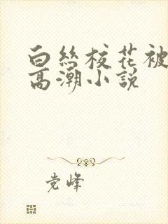 白丝校花被调教高潮小说