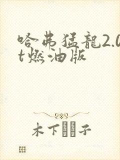 哈弗猛龙2.0t燃油版