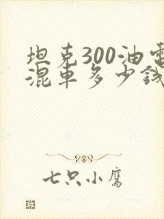 坦克300油电混车多少钱