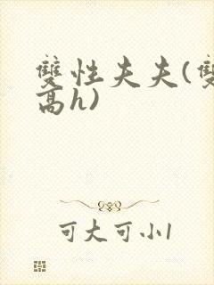 双性夫夫(双性高h) 双性夫夫(双性高h)
