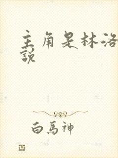 主角是林洛的小说
