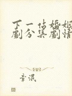 下一站婚姻电视剧分集剧情介绍