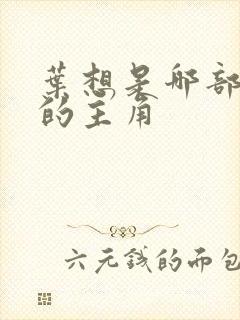 叶想是哪部小说的主角