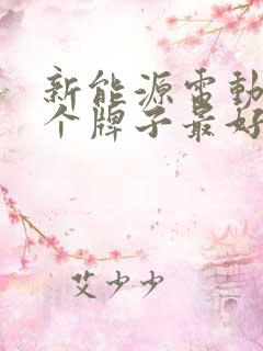 新能源电动车哪个牌子最好最耐用 新能源电动车哪个牌子最好最耐用