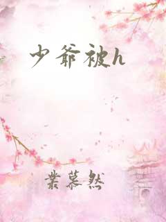 少爷被h