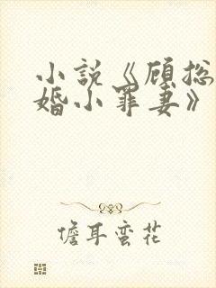 小说《顾总的隐婚小罪妻》