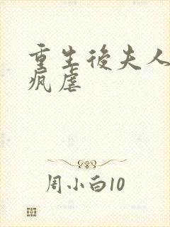 重生后夫人她发疯虐