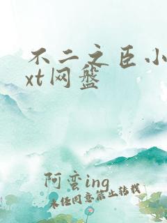 不二之臣小说txt网盘