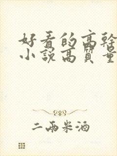 好看的高干言情小说高质量文笔好