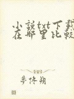 小说txt下载在哪里比较好