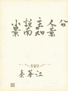小说主人公帝释景南知意