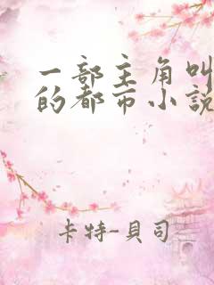 一部主角叫林峰的都市小说