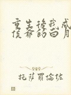 重生后我成了小侯爷的白月光