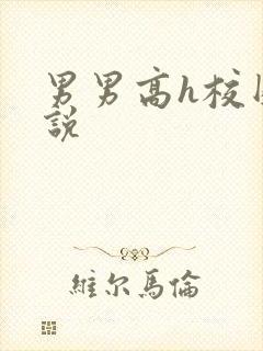 男男高h校园小说