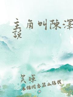 主角叫陈泽的小说
