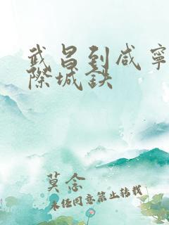 武昌到咸宁南城际城铁