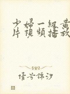 少妇一级黄色淫片视频播放
