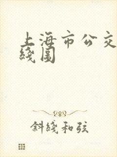 上海市公交车路线图