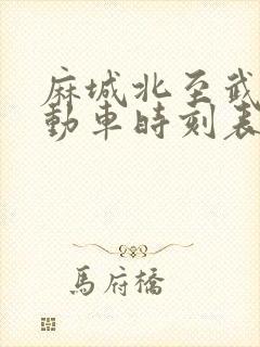 麻城北至武汉站动车时刻表查询