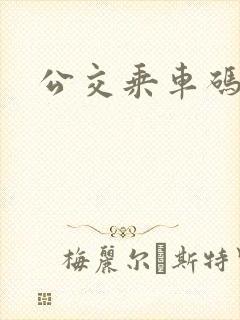 公交乘车码啥样