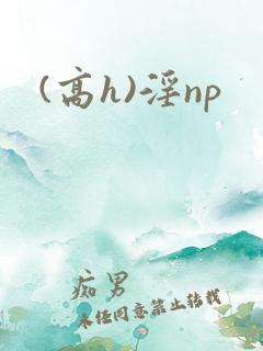 (高h)淫np