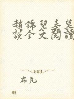 赵锦儿秦慕修小说全文阅读免费