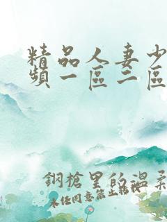 精品人妻少妇视频一区二区