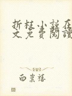 折枝小说在线全文免费阅读无弹窗