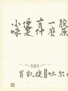 小便有一股氨气味是什么原因