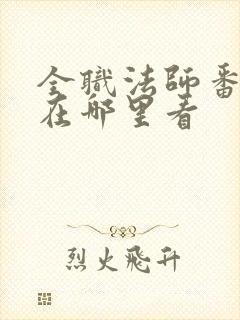 全职法师番外篇在哪里看
