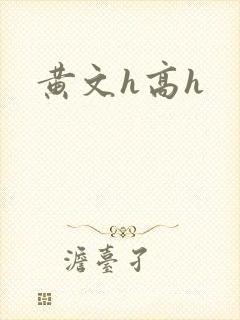 黄文h高h