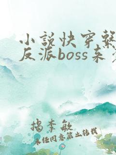 小说快穿系统之反派boss来袭