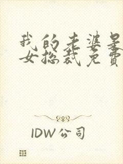 我的老婆是冰山女总裁免费阅读全文