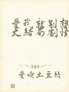 爱我就别想太多大结局剧情