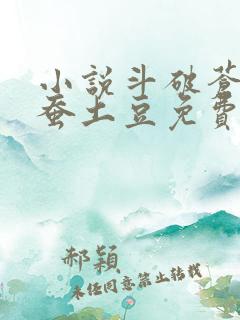 小说斗破苍穹天蚕土豆免费阅读