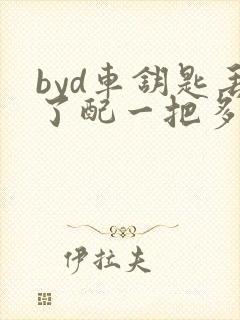 byd车钥匙丢了配一把多少钱