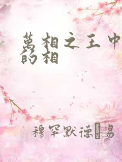 万相之王中李洛的相 万相之王中李洛的相