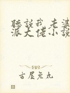 听说我老婆是反派大佬小说免费阅读