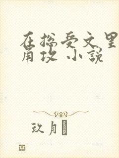 在总受文里抢主角攻 小说