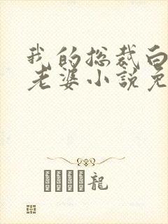 我的总裁白富美老婆小说免费未删版下载
