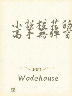 小说校花的贴身高手无弹窗无广告 小说校花的贴身高手无弹窗无广告