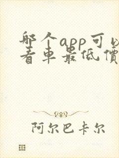 哪个app可以看车最低价格