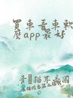 买车看车软件什么app最好