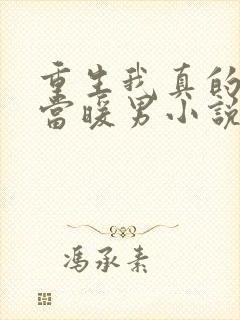 重生我真的没想当暖男小说