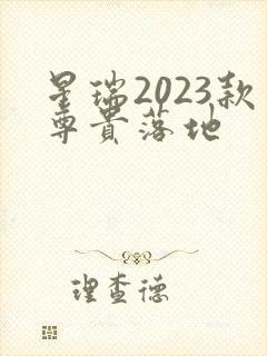 星瑞2023款尊贵落地