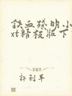 铁血残明小说txt精校版下载